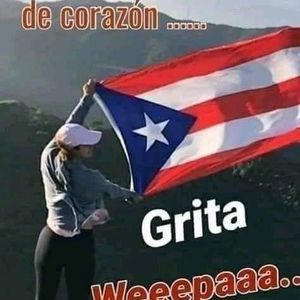 Meet your Posher, Roberto